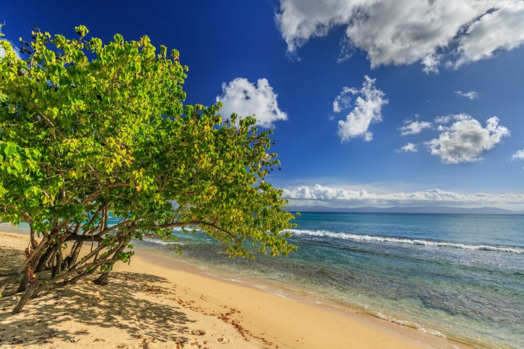 Strand Souffleur, Plage du Souffleur, in Grand-Terre, Guadeloupe, Karibik