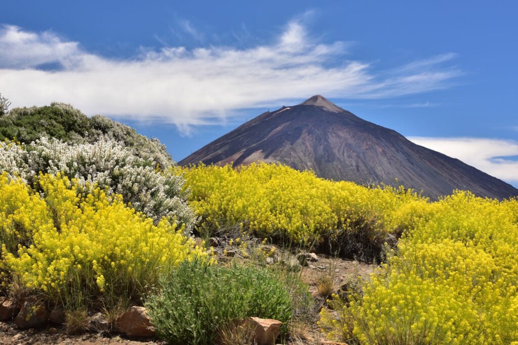 Gipfel von El Teide