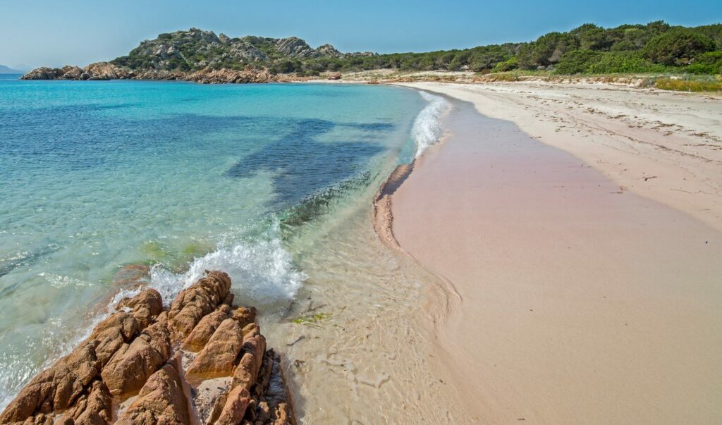 Pinker Strand auf der Isola Maddalena, Sardinien