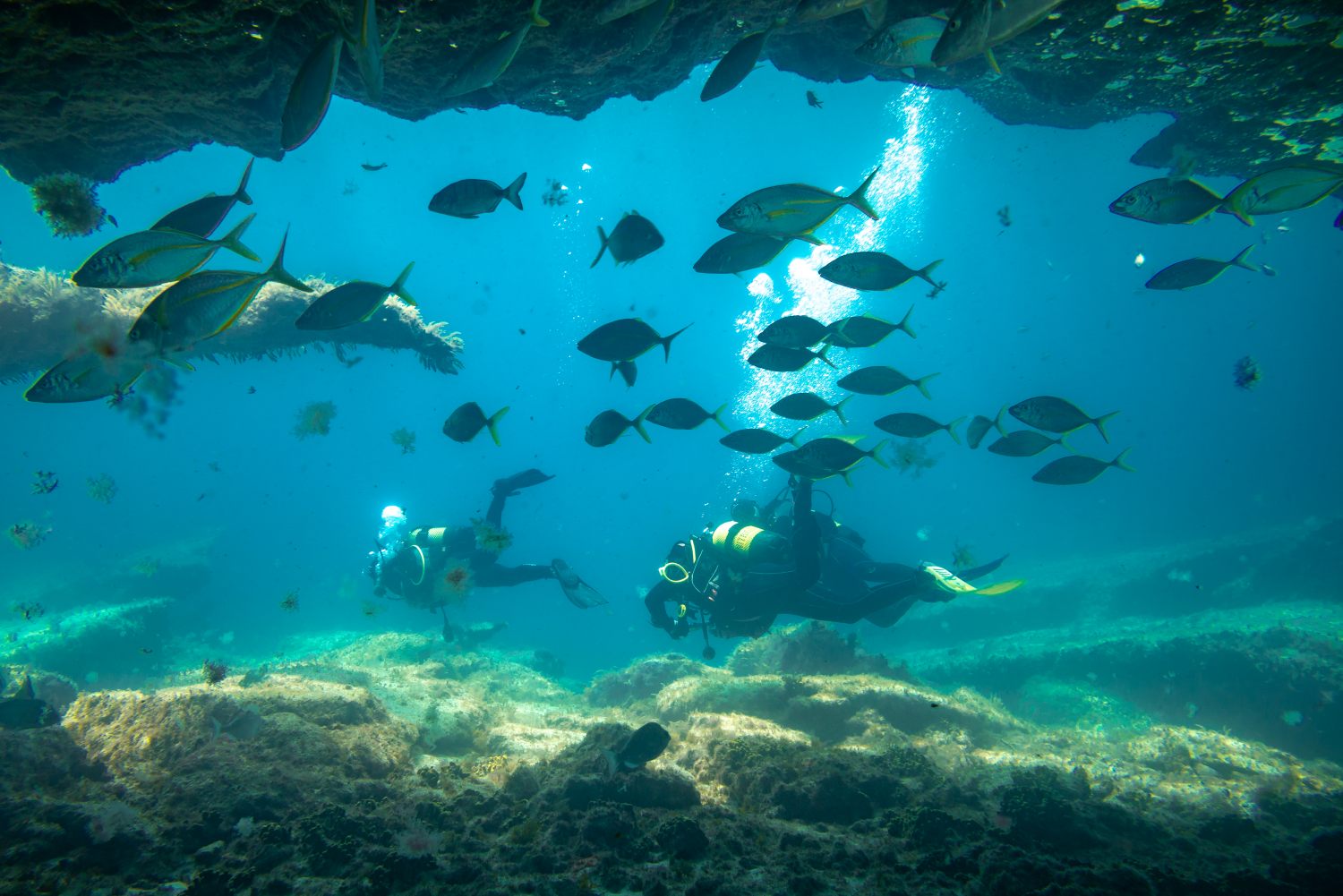 Taucher am großen Muränenriff auf Fuerteventura